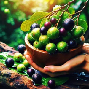 Propriedades da Jabuticaba: seu sabor é adocicado e ela é repleta de benefícios para a saúde